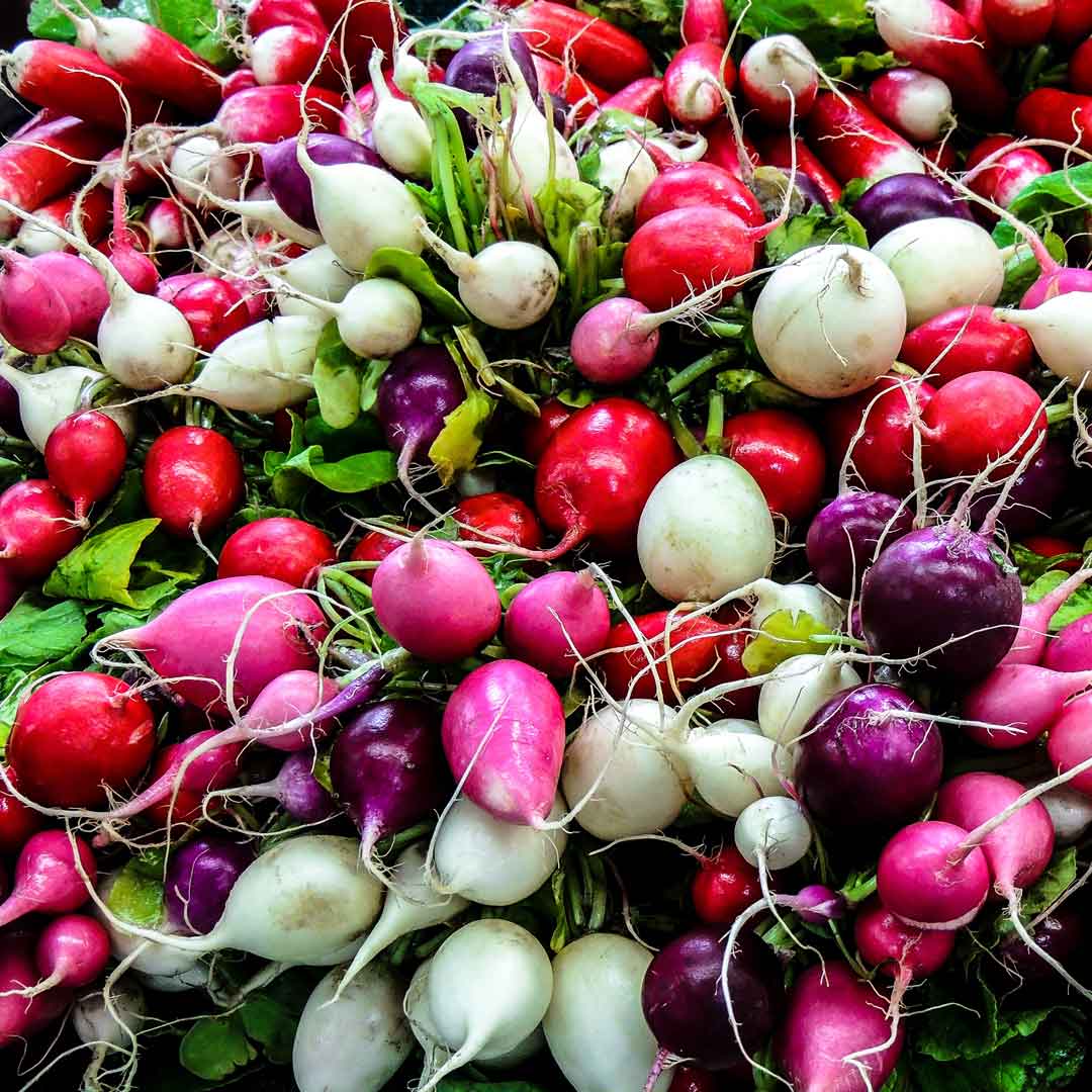 immune-foods-radish