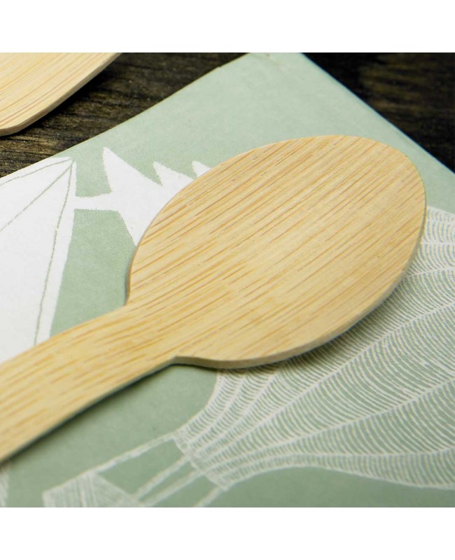 Disposable Bamboo Spoons 100 Pack