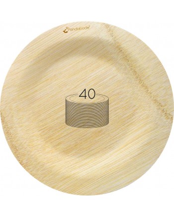 Disposable Bamboo Plates 40 Pack